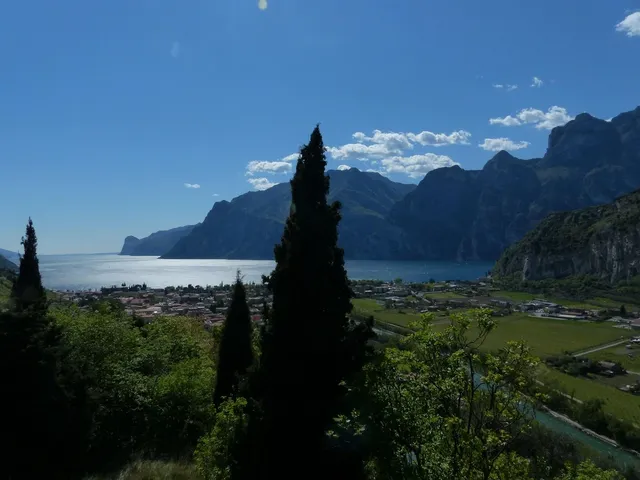 DSC06833