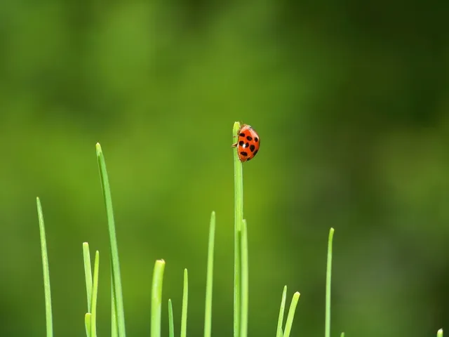 e e